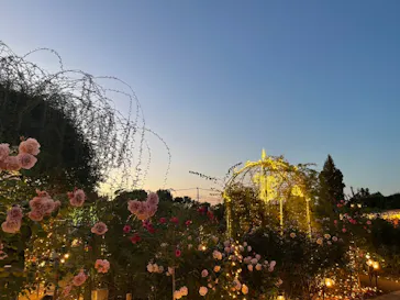 ひらかたパークに投稿された画像（2021/11/13）