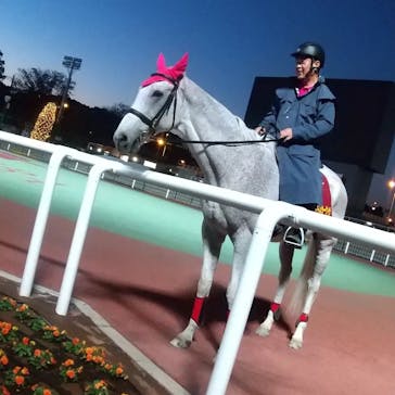 東京メガイルミに投稿された画像（2021/11/13）