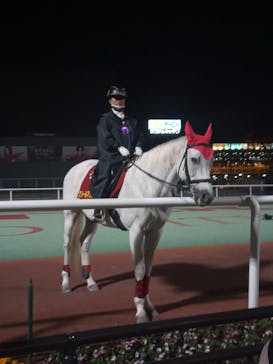 東京メガイルミに投稿された画像（2021/11/13）