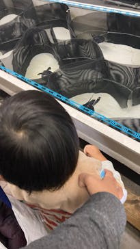 南知多ビーチランド＆南知多おもちゃ王国に投稿された画像（2021/11/13）