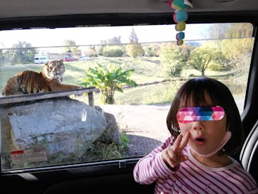 秋吉台自然動物公園 サファリランドに投稿された画像（2021/11/13）