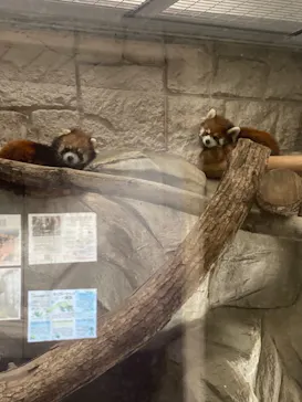 天王寺動物園に投稿された画像（2021/11/13）