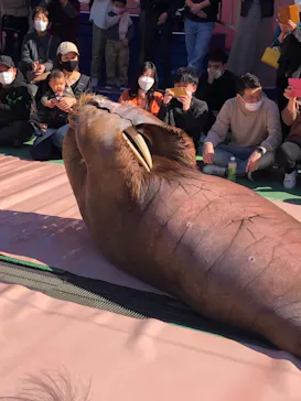 ゼロ距離水族館 伊勢シーパラダイスに投稿された画像（2021/11/14）