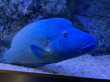 すみだ水族館に投稿された画像（2021/11/14）