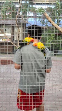 富士花鳥園に投稿された画像（2021/11/14）