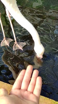 富士花鳥園に投稿された画像（2021/11/14）