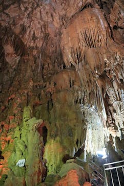 あぶくま洞に投稿された画像（2021/11/14）