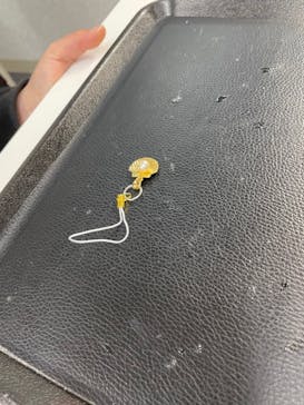 三重県真珠に投稿された画像（2021/11/14）