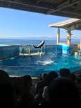 新江ノ島水族館に投稿された画像（2021/11/14）