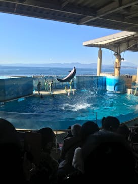 新江ノ島水族館に投稿された画像（2021/11/14）
