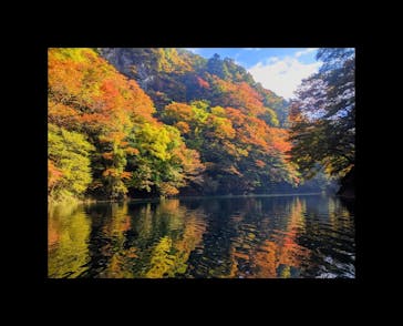 ノマドハウスに投稿された画像（2021/11/4）