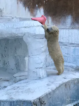 天王寺動物園に投稿された画像（2021/11/14）