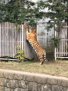 天王寺動物園に投稿された画像（2021/11/14）