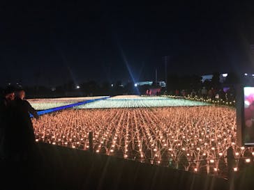 東京メガイルミに投稿された画像（2021/11/14）