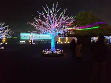 東京メガイルミに投稿された画像（2021/11/14）