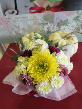 ひらかたパークに投稿された画像（2021/11/14）