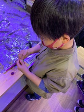 南知多ビーチランド＆南知多おもちゃ王国に投稿された画像（2021/11/14）