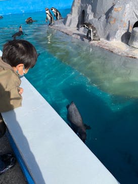 南知多ビーチランド＆南知多おもちゃ王国に投稿された画像（2021/11/14）