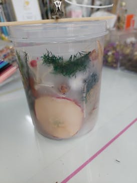 ずこうしつ〜sugamo〜に投稿された画像（2021/11/14）