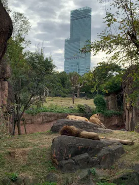 天王寺動物園に投稿された画像（2021/11/14）