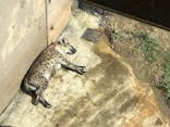 天王寺動物園に投稿された画像（2021/11/14）