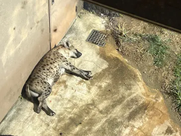 天王寺動物園に投稿された画像（2021/11/14）