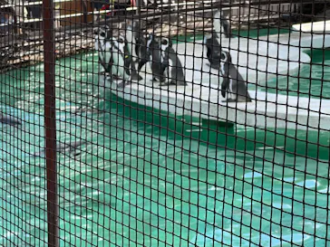 天王寺動物園に投稿された画像（2021/11/14）