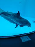 名古屋港水族館に投稿された画像（2021/11/14）