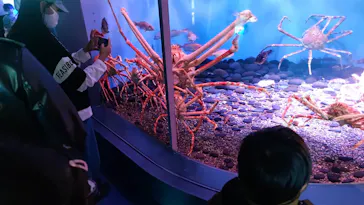 横浜・八景島シーパラダイスに投稿された画像（2021/11/14）