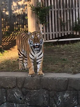 天王寺動物園に投稿された画像（2021/11/14）