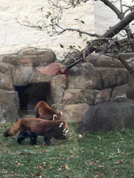 天王寺動物園に投稿された画像（2021/11/14）