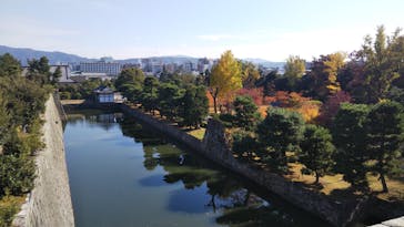 元離宮二条城に投稿された画像（2021/11/14）