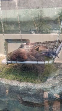 サンシャイン水族館に投稿された画像（2021/11/14）