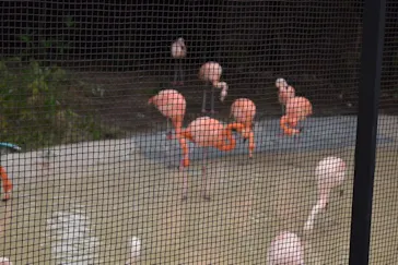 天王寺動物園に投稿された画像（2021/11/14）