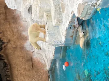 天王寺動物園に投稿された画像（2021/11/14）