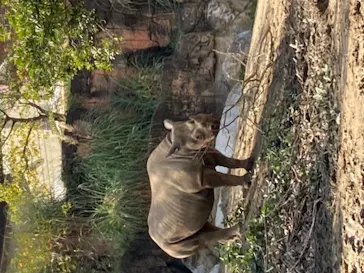 天王寺動物園に投稿された画像（2021/11/14）
