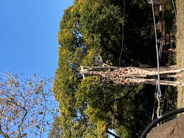天王寺動物園に投稿された画像（2021/11/14）