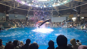 マクセル アクアパーク品川に投稿された画像（2021/11/14）