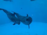 名古屋港水族館に投稿された画像（2021/11/14）
