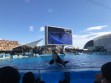 名古屋港水族館に投稿された画像（2021/11/14）