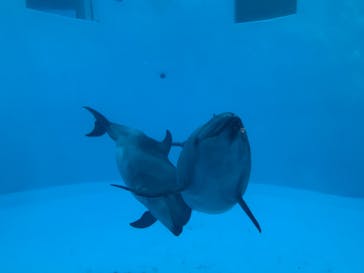 名古屋港水族館に投稿された画像（2021/11/14）