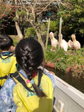 伊豆シャボテン動物公園に投稿された画像（2021/11/14）
