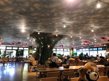 伊豆シャボテン動物公園に投稿された画像（2021/11/14）