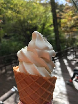 モダン湯治 おんりーゆーに投稿された画像（2021/11/14）