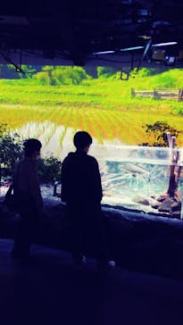 カワスイ 川崎⽔族館に投稿された画像（2021/11/14）