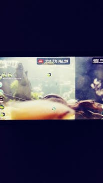 カワスイ 川崎⽔族館に投稿された画像（2021/11/14）