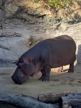天王寺動物園に投稿された画像（2021/11/14）