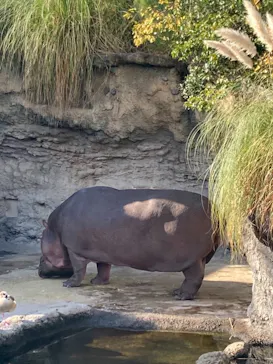 天王寺動物園に投稿された画像（2021/11/14）