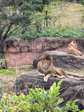 天王寺動物園に投稿された画像（2021/11/14）