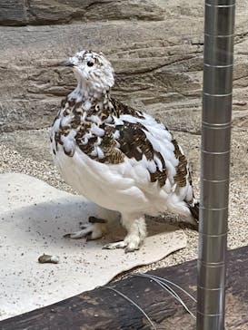 那須どうぶつ王国に投稿された画像（2021/11/14）